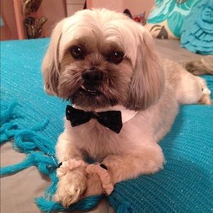 Meet your Posher, Melaine